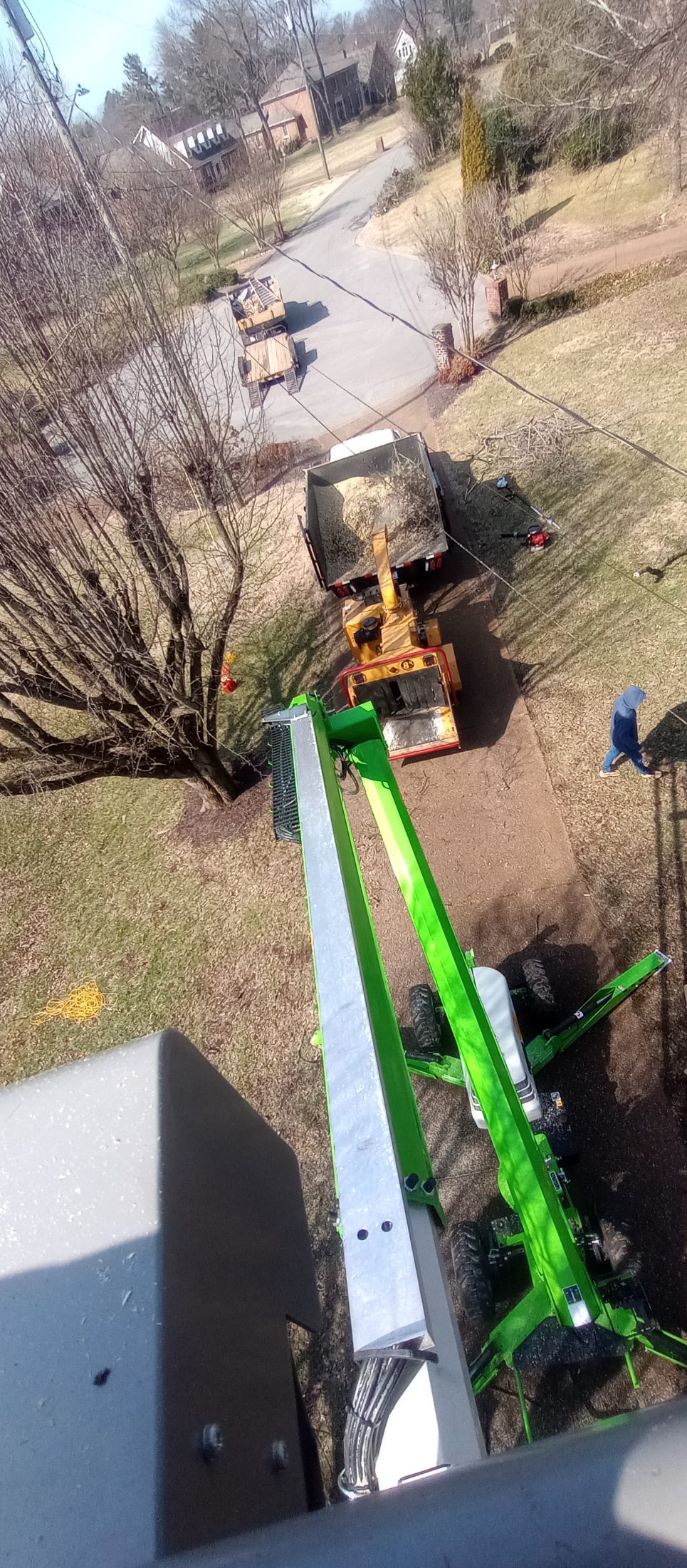Tree service job photo