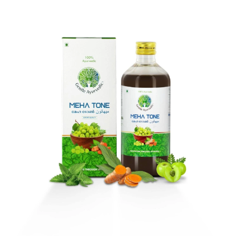 Gentle ayurvedic mehatone 450ml (pack of one)