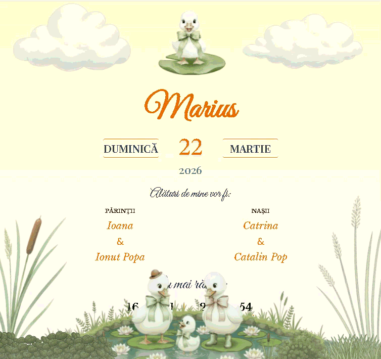 Rățușcă - desktop