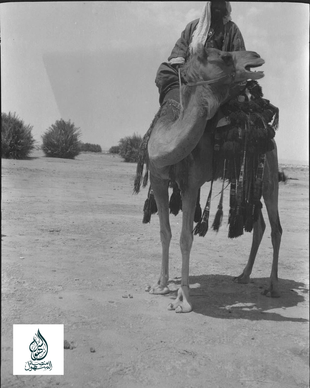 صورة للفارس محمد الهيف البرازي السهلي في عام 1926م