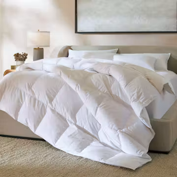Duvet Covers & Comforters