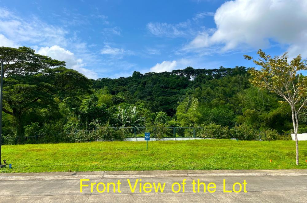 Venido Residential Lots in Philippines, 