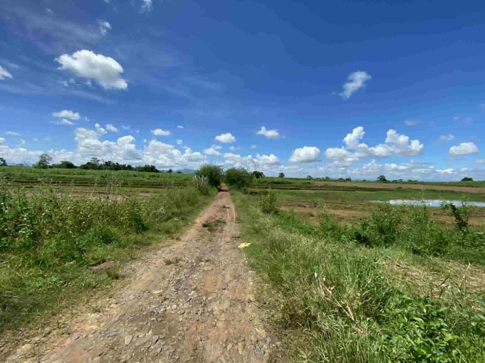 Agricultural Land — Philippines,