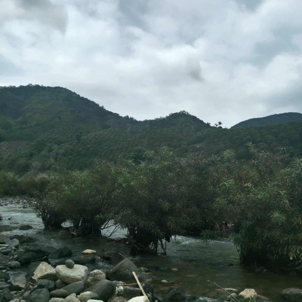 FARM LOT — Philippines,