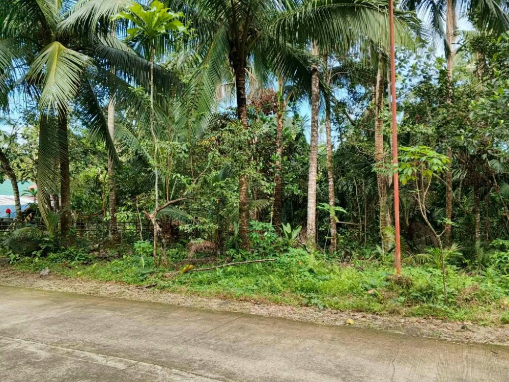 Private Lot For Sale — Philippines, 