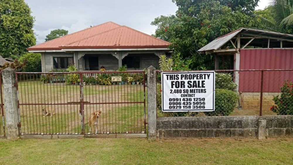 LOT FOR SALE in Philippines, 