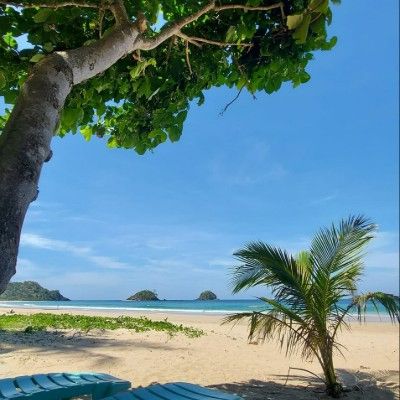 Palawan Properties for SALE, seller