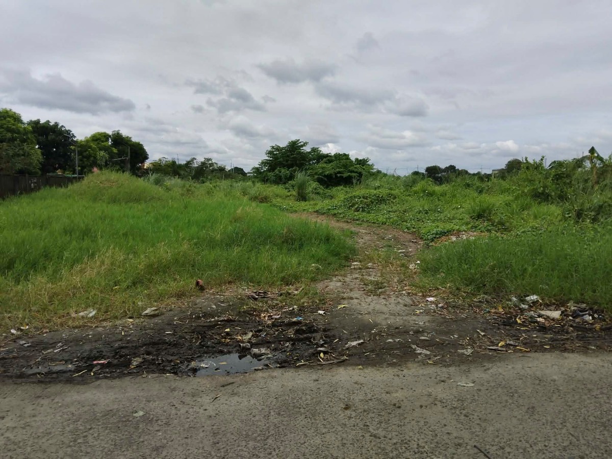055-2024010484 in Philippines, 