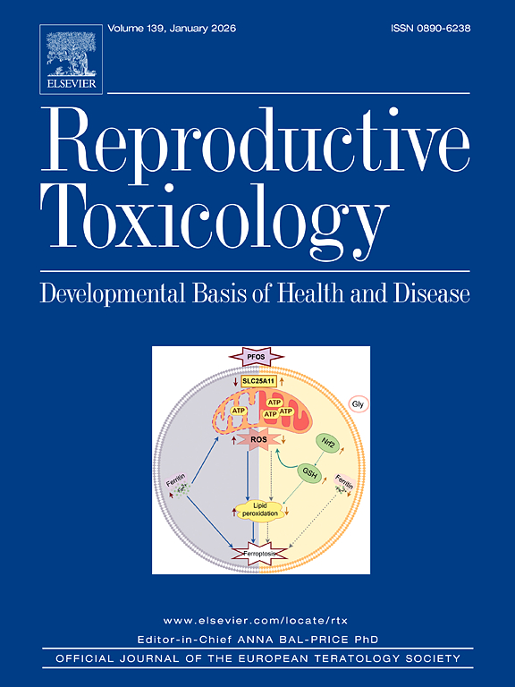 Early gonadotoxic effects of cyclophosphamide on the prepubertal testis and the feasibility of reducing toxicity through combined antioxidant therapy