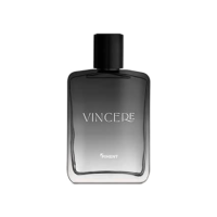Piment Perfume Masculino Eau De Toilette Vincere 100Ml