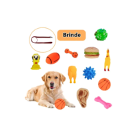 Kit 5 Mordedore Brinquedo Diversos P/ Cachorro + Brinde