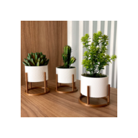 Trio de Vasos Cachepot com Suporte Para Cactos ou Suculentas