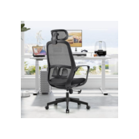 Cadeira de escritório ergonômica de malha alta, assento acolchoado, encosto ajustável, suporte lombar, base giratória de 360° cadeira executiva de mesa executiva (preta)