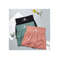 Cintura Alta Yoga Calções de Ginástica Abdômen Apertado para Mulheres Casual Quick Dry