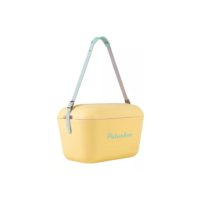 Caixa Térmica Cooler Polarbox 12l C Alça Cor Amarela E Azul