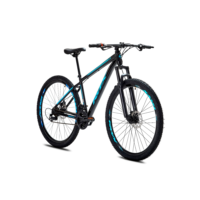 BICICLETA BIKE MTB RWX RX-2 AÇO ARO 29 21V TAM. 17 - FREIO A DISCO