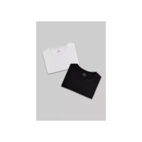 Kit Com 2 Camisetas Femininas Básicas Hering