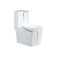 Vaso Sanitário Monobloco Acoplada Premium Luxo + Brinde