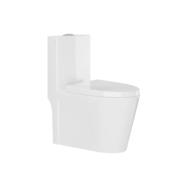 Vaso Sanitário Monobloco Caixa Acoplada Completo - Privada Cor Branco