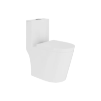 Vaso Sanitário Monobloco Caixa Acoplada Completo Privada Cor Branco Tubrax