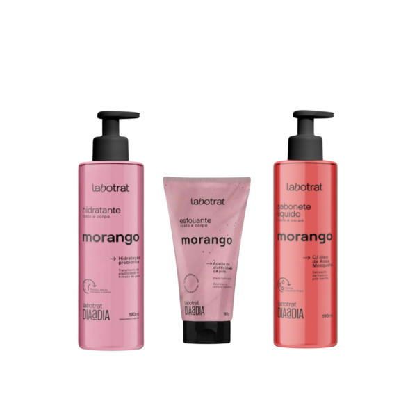 Kit Dia a Dia Cuidados Diários Rosto e Corpo Labotrat Esfoliante, Sabonete e Hidratante