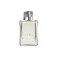 Zaad Eau de Parfum 95ml - o Boticário (Perfume Masculino)