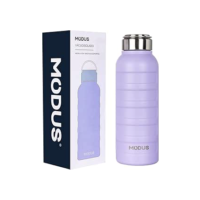 MODUS Garrafa de Água Térmica Esportiva Academia Isolada a Vácuo Aço Inox 1000ML (Roxo)