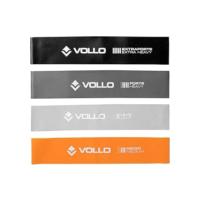 Vollo Sports Conjunto de Mini Faixas De Exercicio, Cinza Claro/Laranja/Cinza Escuro/Preta (pacote de 4)