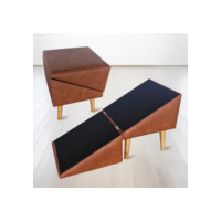 Rampa Escada Pet Móvel Puff Cachorro Gato Antiderrapante