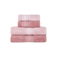 Jogo De Toalhas Buddemeyer Atena Fio Penteado Banho Rosa/rosa Claro 4 Peças