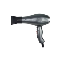 Secador de Cabelo Profissional Lizze Extreme 127V