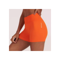 Short Legging Feminino Adulto Basic Lupo Sport