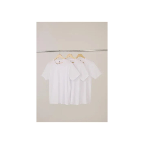 Kit Com 3 Camisetas Masculinas Básicas Hering