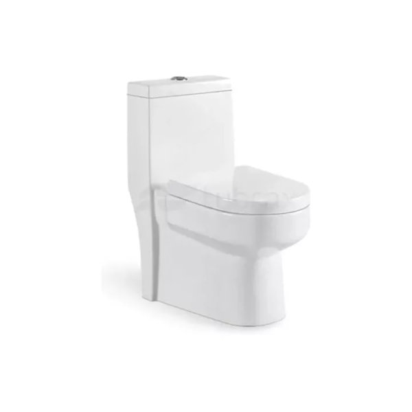 Vaso Sanitário Monobloco Caixa Acoplada Privada Completo Cor Branco