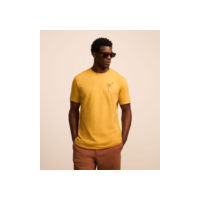 Camiseta Comfort com Algodão com Estampa de Coqueiro e Concha Amarelo