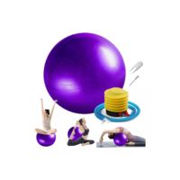 Opulent Oasis>>Bola Pilates Ginastica Yoga Suíça Alongamento Abdominal 55cm e 65cm