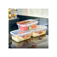 Kit 10 marmitas 800ml com duas travas herméticas organizador de congelador alimentos pote livre de BPA