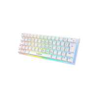 TECLADO GAMER MECÂNICO NEOLOGIC PRECISION POLAR 60% RAINBOW 61 TECLAS SWITCH RED BRANCO CABO TIPO C