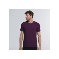 Daily T-shirt Insider