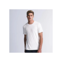 Daily T-shirt Insider