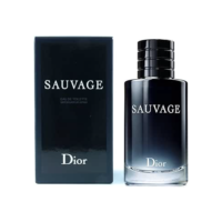 Sauvage Masculino de Christian Dior Eau de Toilette 100ml