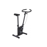 Bicicleta Ergométrica Vertical Dream Fitness EX 450 Uso Doméstico Residencial Chumbo