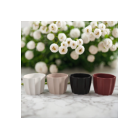 Kit com Mini Vasos Cachepôs Cacau para Plantas Suculentas Decorativos de Plástico Injetado 5x6