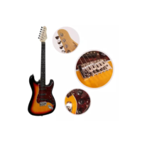 Guitarra Giannini Elétrica Standard G100 3-tone Sunburst Cor 3-tone Sunburst/tortoise Shell Material Do Diapasão Madeira Técnica Orientação Da Mão Destro