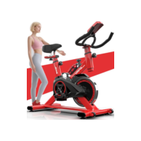 Elyblo Bicicleta Ergometrica, Bike Spinning, Bicicleta de Academia, Interno de Baixo Ruído Bicicleta Ergometrica Magnetica, Bicicleta de Spinning Fixa com Pastilhas de Freio