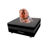 Cama Box Pet Com Lençol Impermeável Branco Para Cachorros e Gatos 60x60x24cm BF Colchões