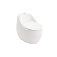 Vaso Sanitário Monobloco Caixa Acoplada Privada Aquarela Pingoo - Branco