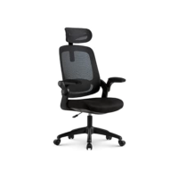 Cadeira de Escritorio Ergonômica Astra Preta com Apoio Lombar e Cabeça, Encosto Ajustável, Mesh Respirável