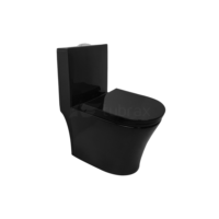 Vaso Sanitário Monobloco Preto Cerâmica Modelo Umbra VAB0006