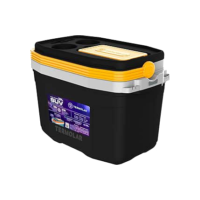 Caixa Térmica Cooler 20l Com Alça Praia Preto Camping